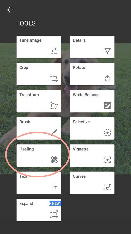 1494521772 18450074 10155254723502790 518023144 n